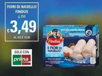 Basko Findus Fiori di Nasello 250g offerta