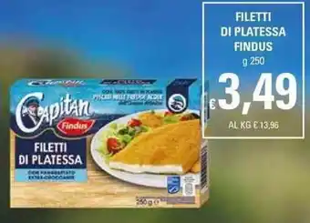 Basko Findus Filetti di Platessa 250g offerta