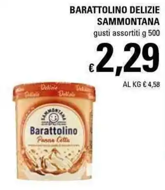 Basko Sammontana Barattolino Delizie 500g offerta