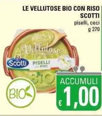 Basko Scotti Le Vellutose Bio con Riso 270g offerta
