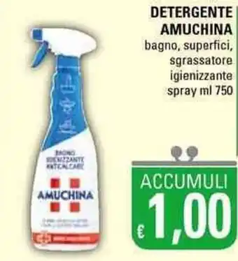 Basko Amuchina Detergente 750ml offerta