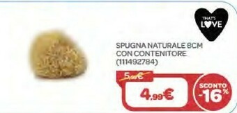 Bimbo Store Spugna Naturale 8cm Con Contenitore offerta