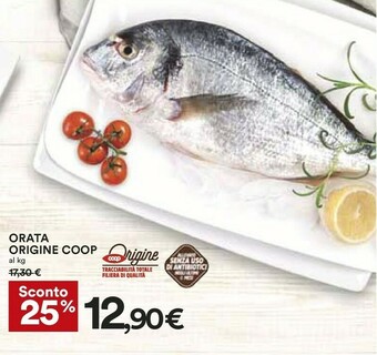 Coop Coop Orata Origine offerta