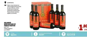 Fronte Frontini Aglianico Beneventano Igt