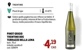 Metro Terrazie Della Luna Pinot Grigio offerta