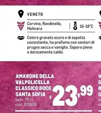 Metro Santa Sofia Amarone Della Valpolicella Classico Docg 750ml offerta