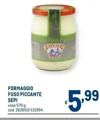 Metro Formaggio Fuso Piccante Sepi offerta