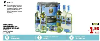 Metro Le colline dei filari Pinot Grigio Delle Venezie Doc offerta