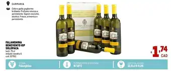 Metro Cantina di Solopaca - Falanghina di Beneventano 750 g(ml) offerta