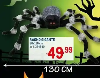 Ragno Gigante