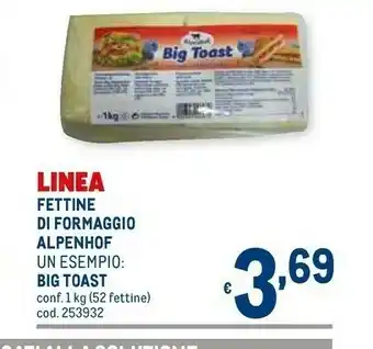 Metro Alpenhof Fettine Di Formaggio Big Toast offerta