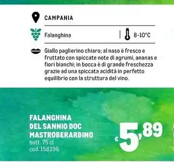 Metro Mastroberardino Falanghina Del Sannio DOC 2019 vino 0,75 L Varietale Bianco offerta