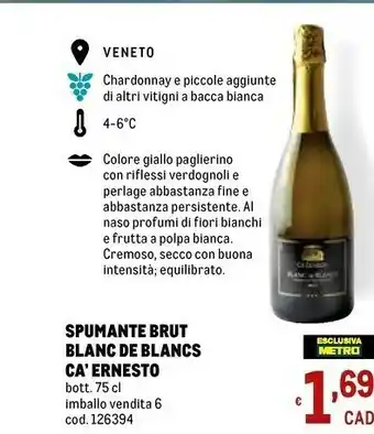 Metro Ca ' Ernesto Spumante Brut offerta