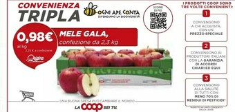 Coop Mele Gala offerta