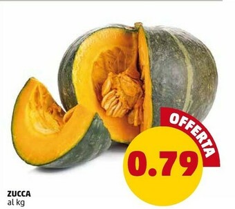 PENNY Zucca offerta
