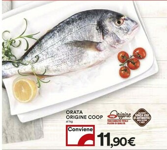 Coop Orata offerta