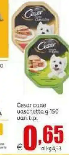 Elite Cesar Cane Vaschetta offerta