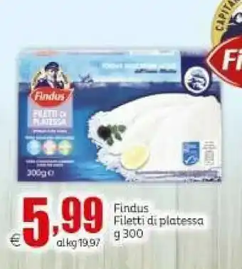 Elite Findus Filetti Di Platessa 300 G(ml) offerta