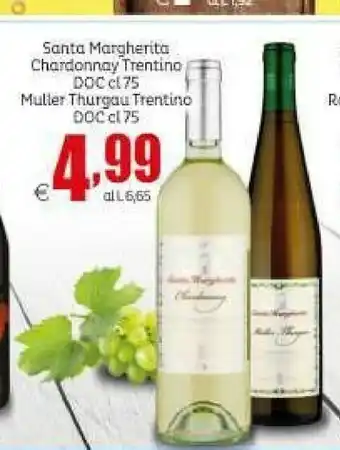 Elite Muller Thurgau Trentino Doc offerta