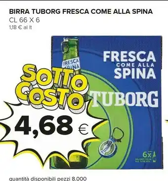 Oasi Tuborg Birra offerta