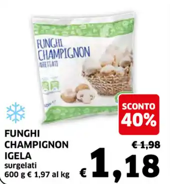 Ecu Discount Igela Funghi Champignon 600g offerta