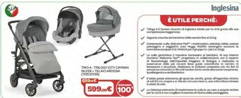 Inglesina Trio 4 - Trilogy City Cayman Silver + Telaio Ardesia