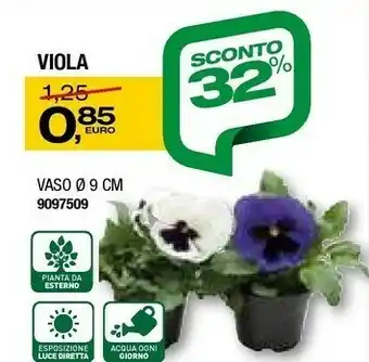 Viola Vaso 9 Cm 9097509