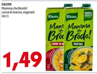 MEGA KNORR Mamma che Brodo! carne di manzo, vegetale litri 1 offerta
