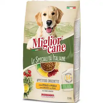 Mercati di Città La Prima MIGLIOR CANE offerta