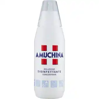 Mercati di Città La Prima AMUCHINA offerta