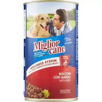 Mercati di Città La Prima MIGLIOR CANE offerta