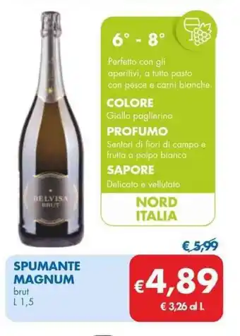 MD Discount SPUMANTE MAGNUM brut L 1,5 offerta