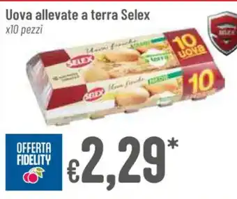 Pan Uova allevate a terra Selex x10 pezzi offerta