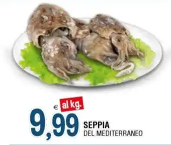 Gruppo La Tirrenica SEPPIA DEL MEDITERRANEO offerta