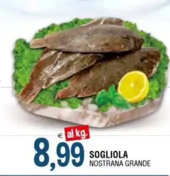 SOGLIOLA NOSTRANA GRANDE