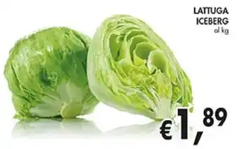 D'Italy LATTUGA ICEBERG offerta