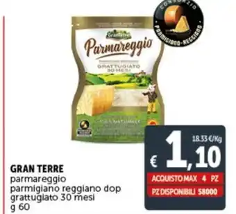 Deco Supermercati GRAN TERRE parmareggio parmigiano reggiano dop grattugiato 30 mesi g 60 offerta