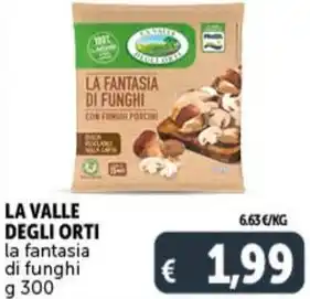 Deco Supermercati LA VALLE DEGLI ORTI la fantasia di funghi g 300 offerta