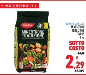Conad MINESTRONE TRADIZIONE FINDUS 1 kg offerta