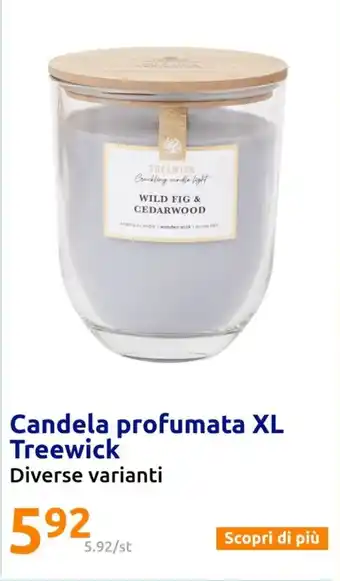 Action Candela profumata XL Treewick offerta