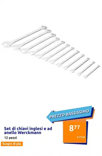 Action Set di chiavi inglesi e ad anello Werckmann 12 pezzi offerta