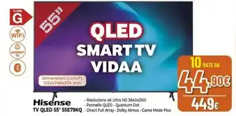 Expert Hisense TV QLED 55" 55E79KQ offerta