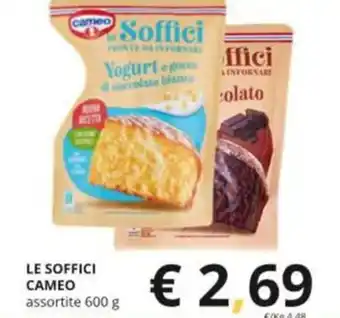 Supermercati Visotto LE SOFFICI CAMEO assortite 600 g offerta