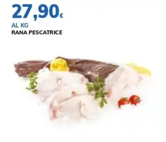 Basko RANA PESCATRICE offerta