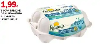 6 UOVA FRESCHE DA ALLEVAMENTO ALL'APERTO LE NATURELLE