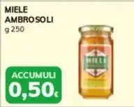 Basko MIELE AMBROSOLI offerta