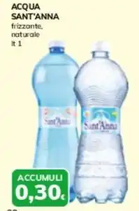 Basko ACQUA SANT'ANNA frizzante. naturale lt 1 offerta