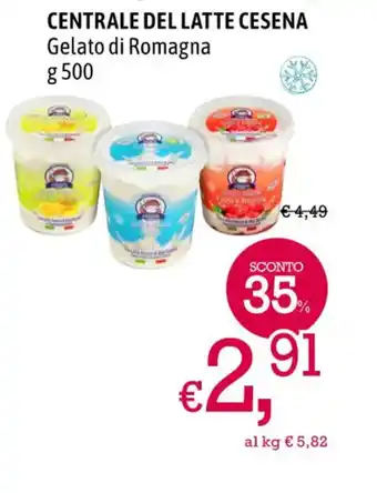 A&O CENTRALE DEL LATTE CESENA Gelato di Romagna g 500 offerta