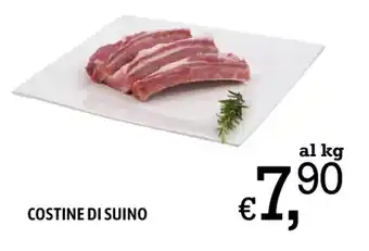 A&O COSTINE DI SUINO offerta