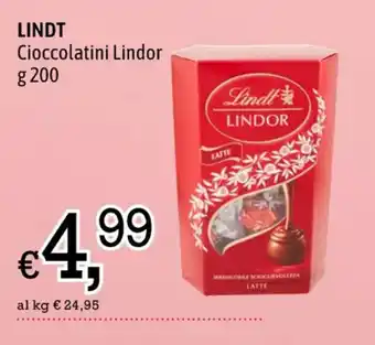 A&O LINDT Cioccolatini Lindor g 200 offerta